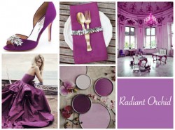 Radiant-Orchid-Collage-UK